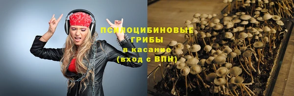 прущий лед Алексин