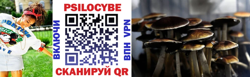 Псилоцибиновые грибы Magic Shrooms Омутнинск